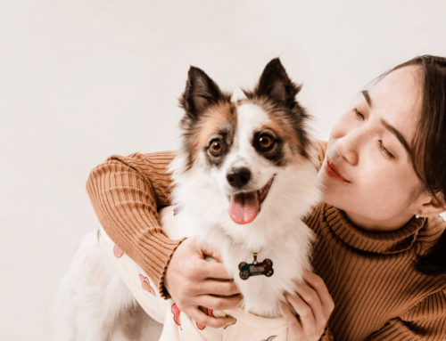 「比你更懂你」——情感型品牌如何用數據洞察需求，成為消費者唯一選擇